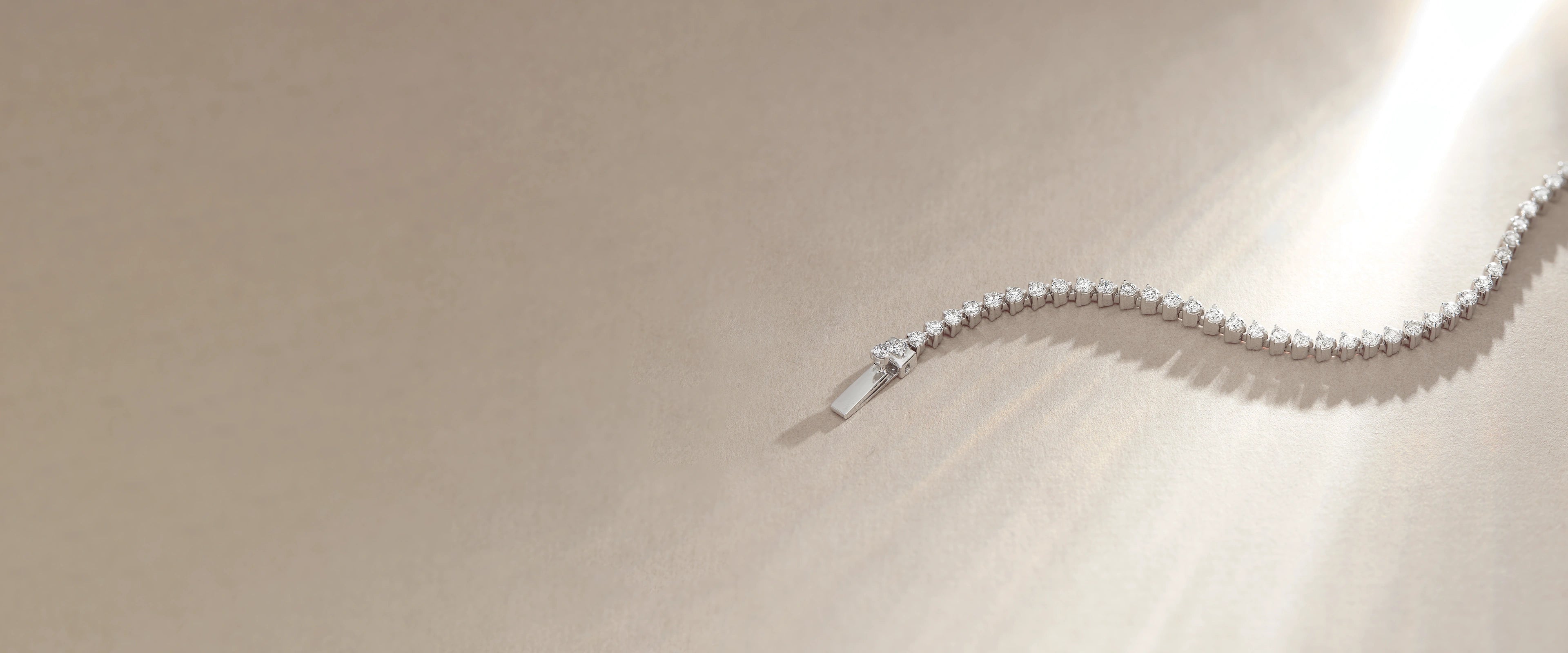 collection-banner-image