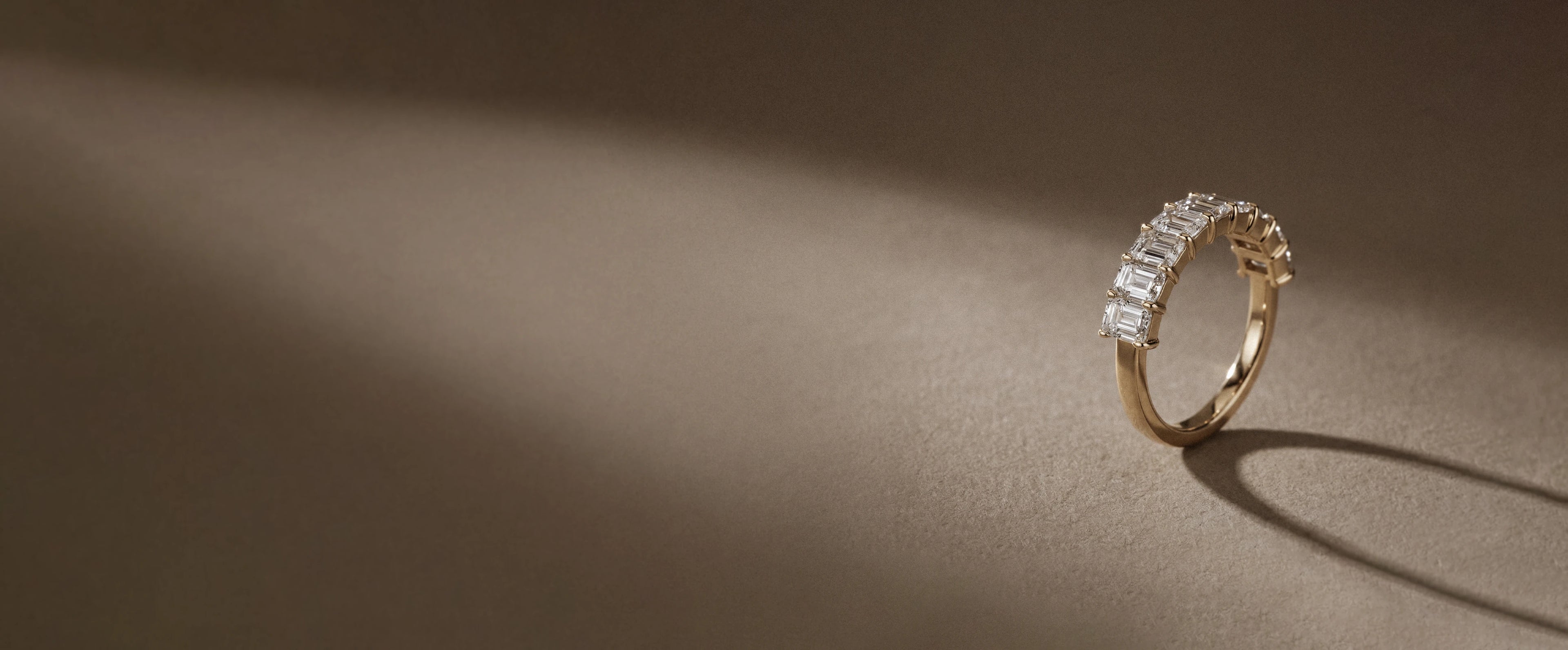 collection-banner-image